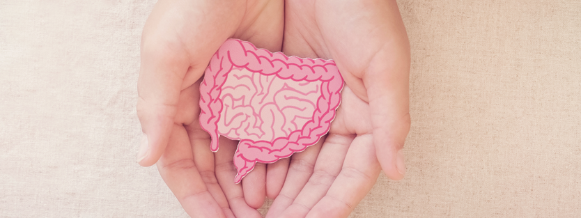 Illustration of a gut