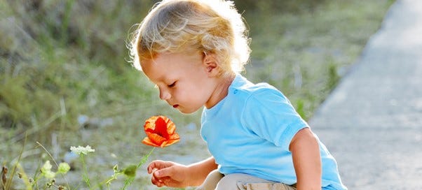 Toddler smelling flower