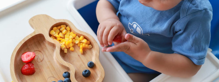 toddler eating solids