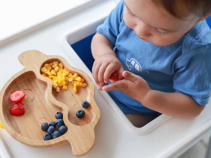 toddler eating solids