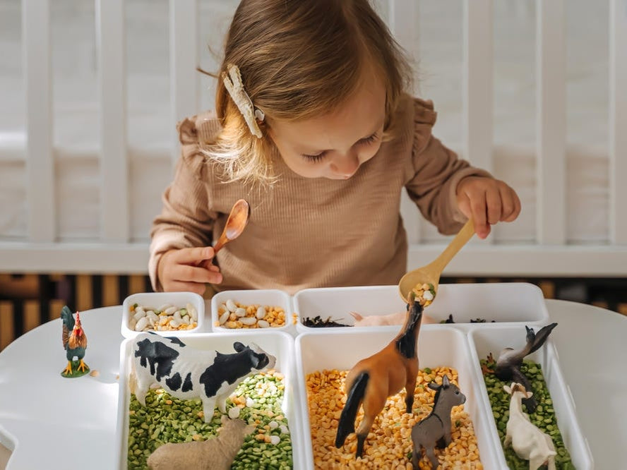 child playing with seeds and legumes