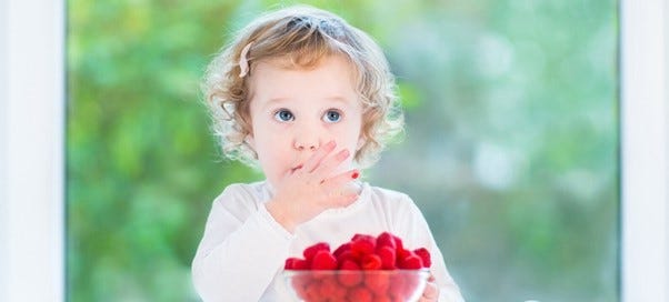 Toddler eating raspberries