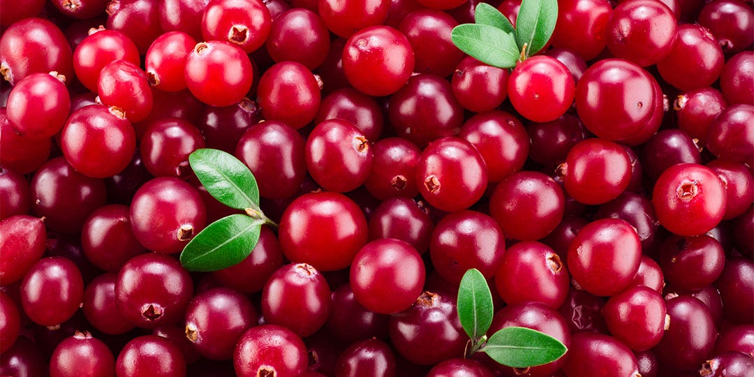 CRANBERRY