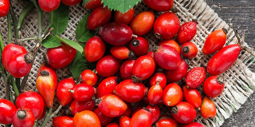 ROSEHIP OIL