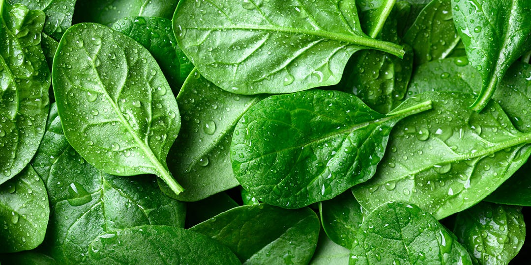 FOLIC ACID