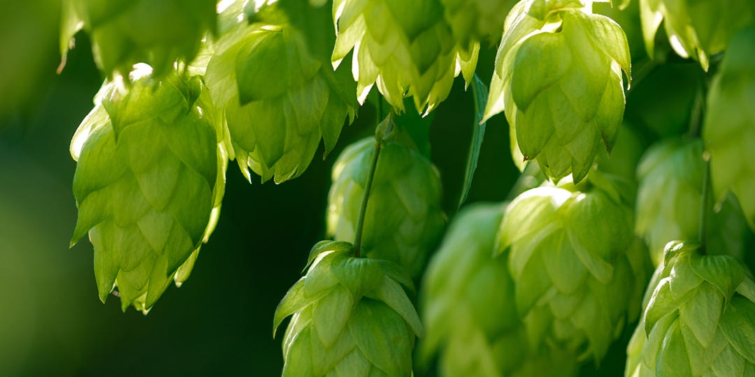 HOPS