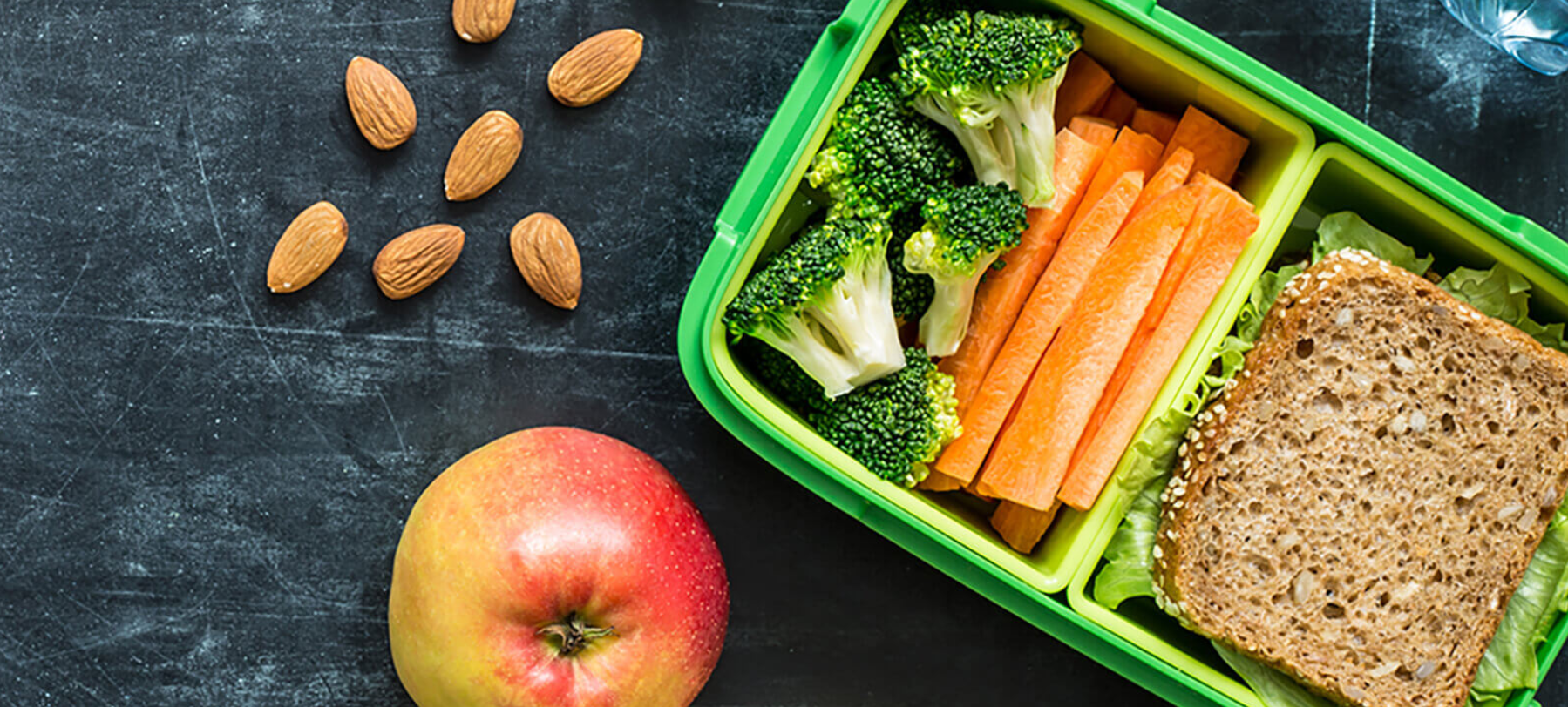 fresh food lunchbox